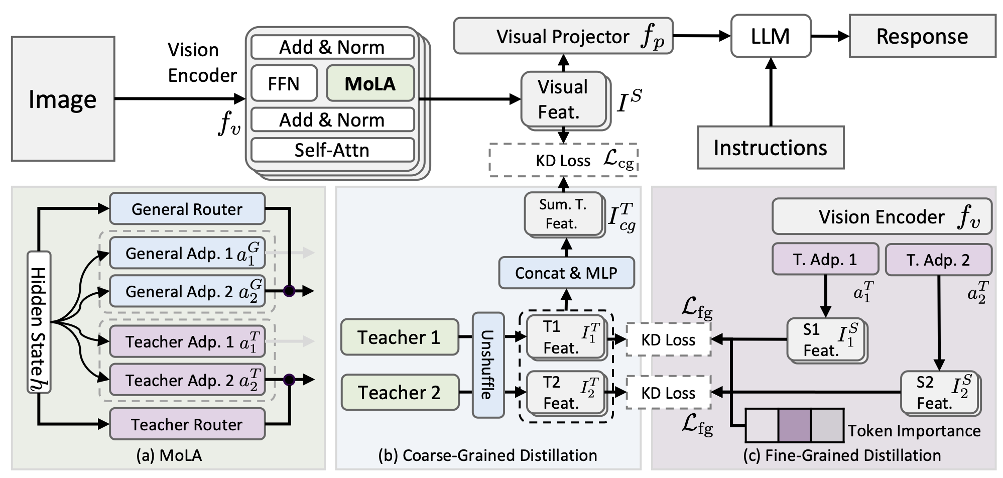 Model Architecture